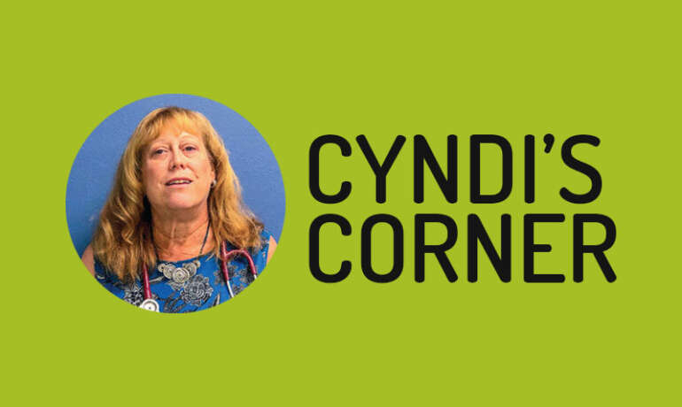 Cyndi’s Corner – October 2021